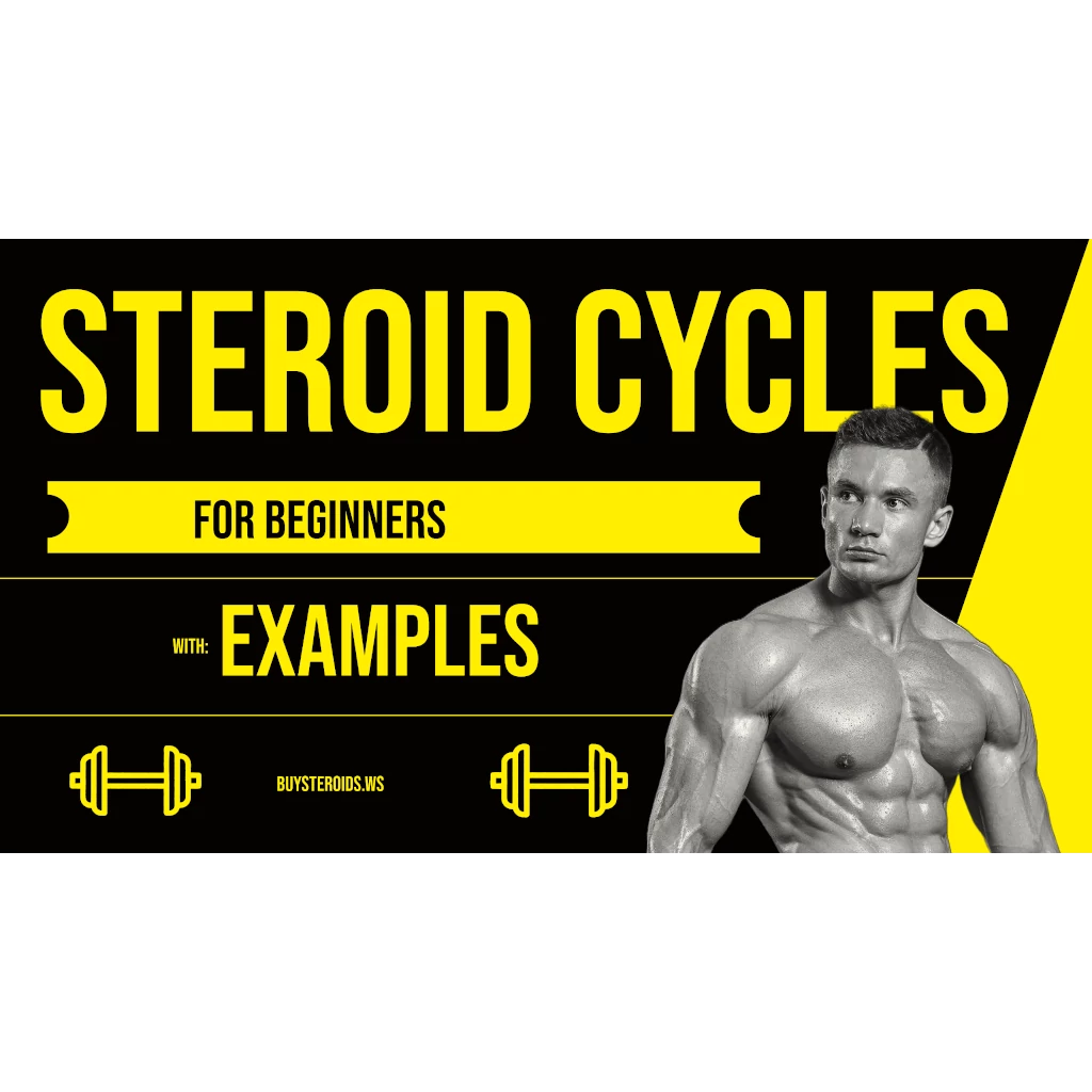 Beginner Cycle Examples Beginner Cycle Examples