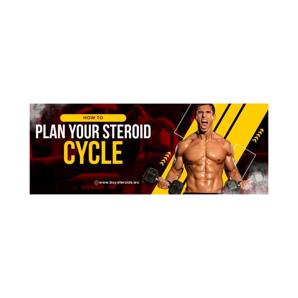 How To Plan Your Cycle How To Plan Your Cycle