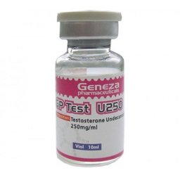 Buy GP Test U250 Online