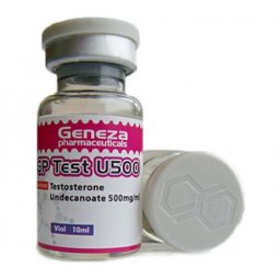 Buy GP Test U500 Online