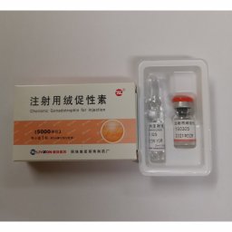 Buy HCG 5000 IU Online