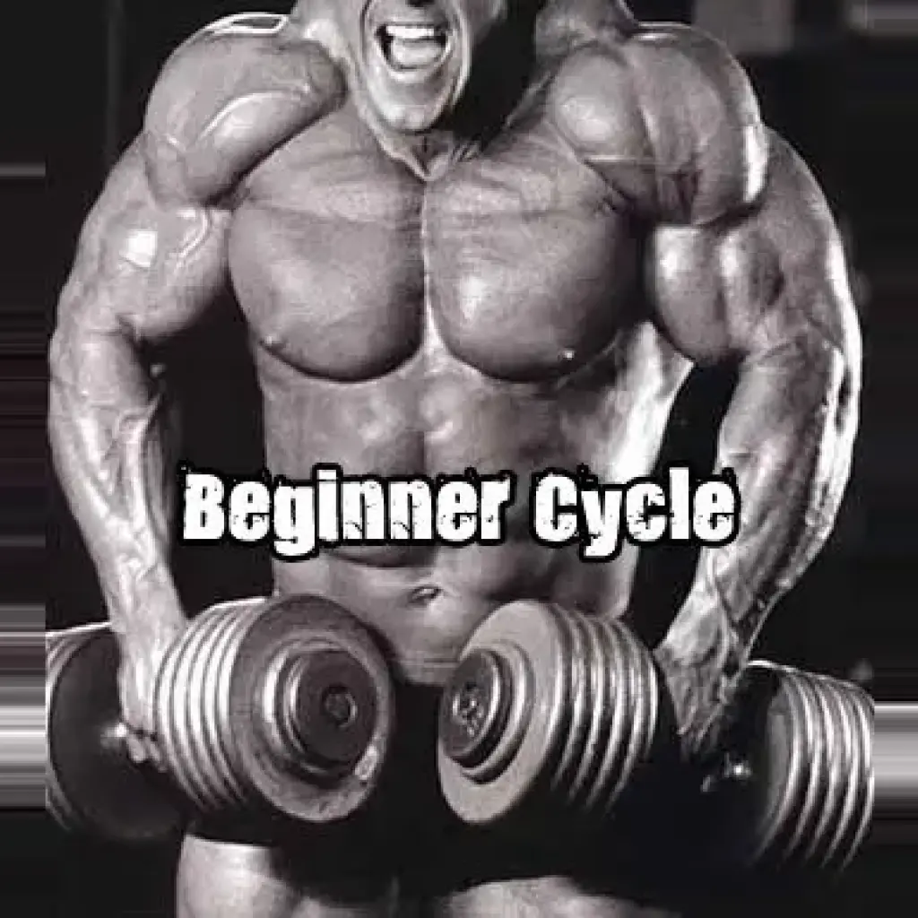 Buy Lean Mass Beginner Online Buy Lean Mass Beginner Online