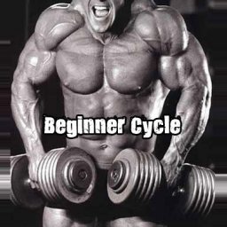 Buy Lean Mass Beginner Online