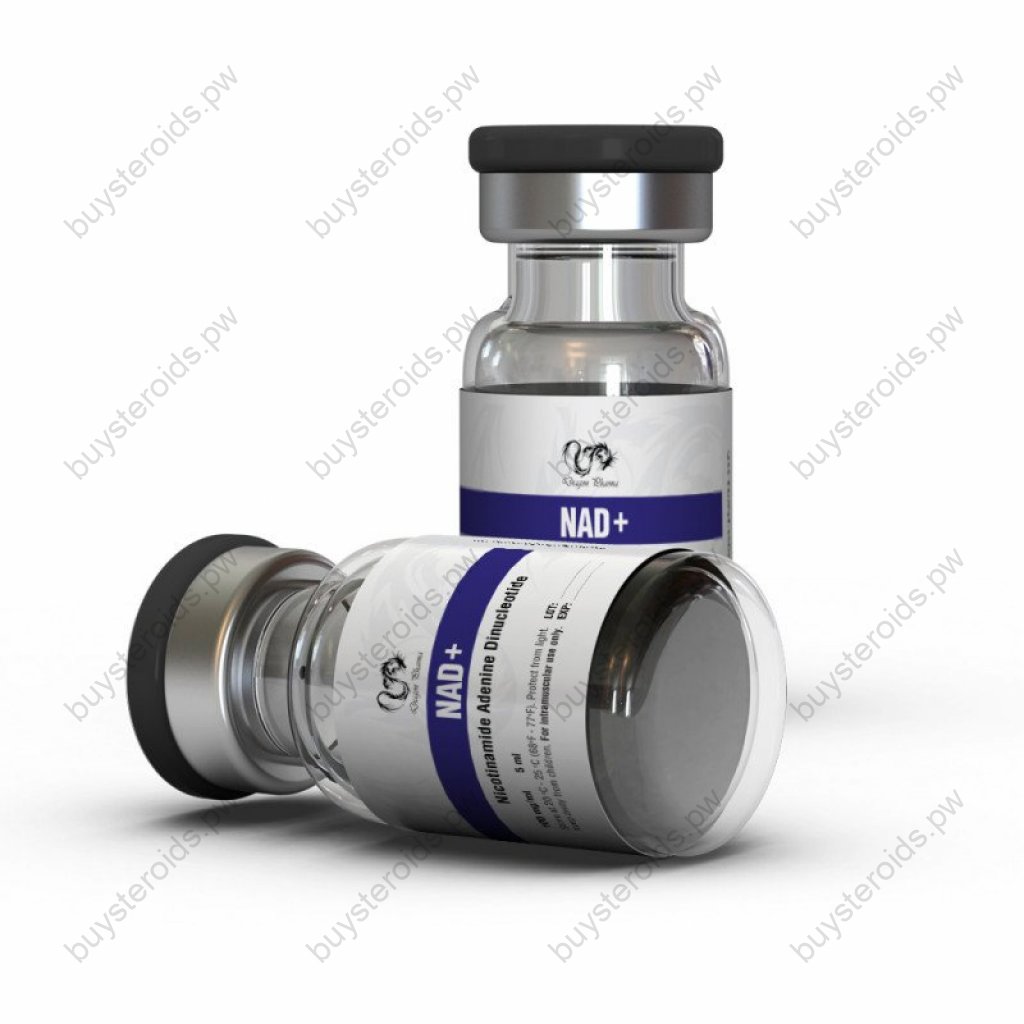 Buy NAD+ Online Buy NAD+ Online