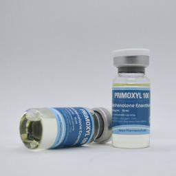 Buy Primoxyl 100 Online