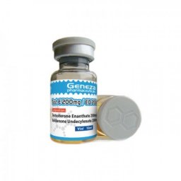 Buy Test E 200 mg/ EQ 200 mg Online