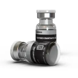 Buy Testodex Enanthate Online