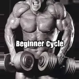 Buy The Added Frill Beginner Online