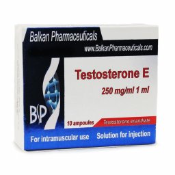 Order Testosterone E Testosterone E for sale