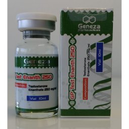 Order GP Test Enanth 250 GP Test Enanth 250 for sale