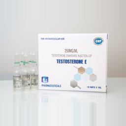 Order Testosterone E Testosterone E for sale