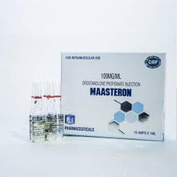 Order Maasteron Maasteron for sale