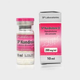 Order SP Nandrolone SP Nandrolone for sale