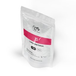 Order T3 T3 for sale