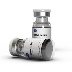 Order Testaplex E Testaplex E for sale