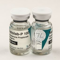 Order Testolab-P 100 Testolab-P 100 for sale